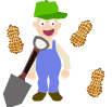 farmer digging peanuts