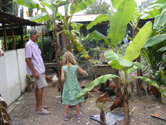 birds on bananas